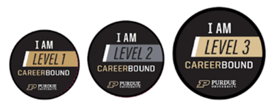 Career Bound Levels