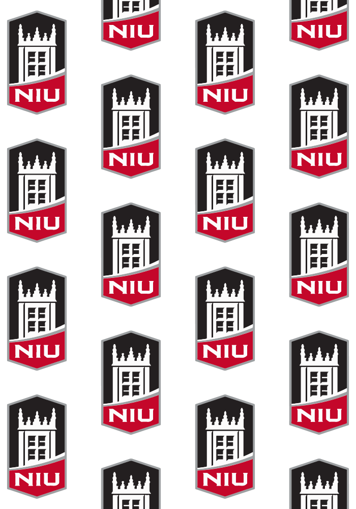 Managing Experiential Learning in the Northern Illinois University ..., image size:700x1000